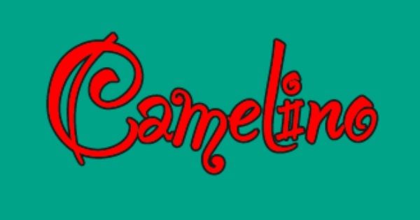 Εξοπλισμός Εκπαιδευτηρίων - Camelino